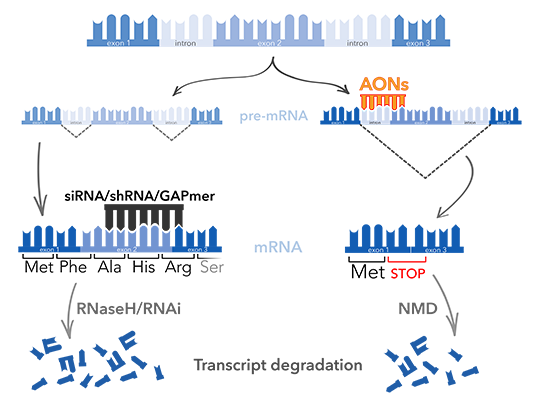 NOA-NMD™