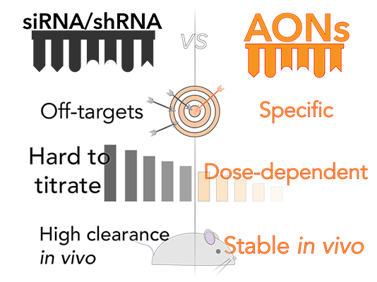 shRNA Comparison