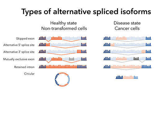 Type of splicing